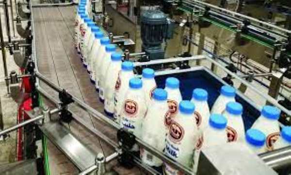 La méga-ferme Baladna Al Djazair couvrira 50% des besoins en lait