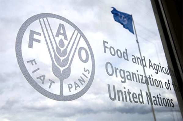 Selon l’Indice FAO : Les cours des produits alimentaires enregistrent une baisse