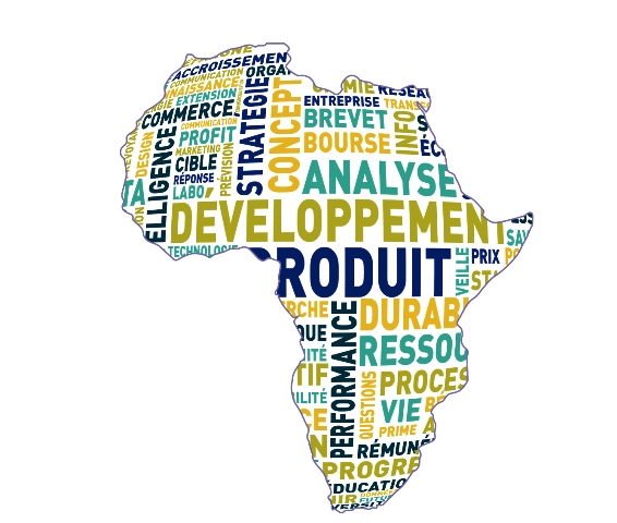 Oxford Business Group lance un CEO survey Africa
